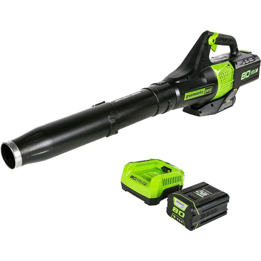 80V (145 MPH / 580 CFM / 75+ Compatible Tools) Cordless Brushless Axial Leaf Blower, 2.5Ah Battery and Charger Included United States - IHavePaws