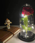 LED Enchanted Flower Galaxy Rose Eternal Beauty And The Beast Rose With Fairy 29 - IHavePaws