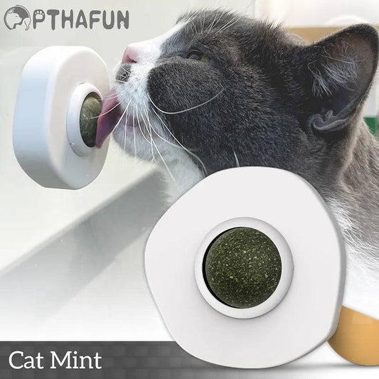 Catnip Cat Licking Toy - Fun for Feline Wellness mint ball! - IHavePaws