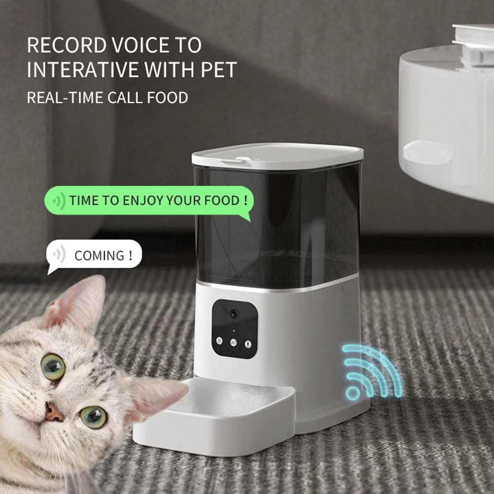 6L Large Capacity Pet Automatic Feeder Smart Voice Recorder White / Key control - IHavePaws