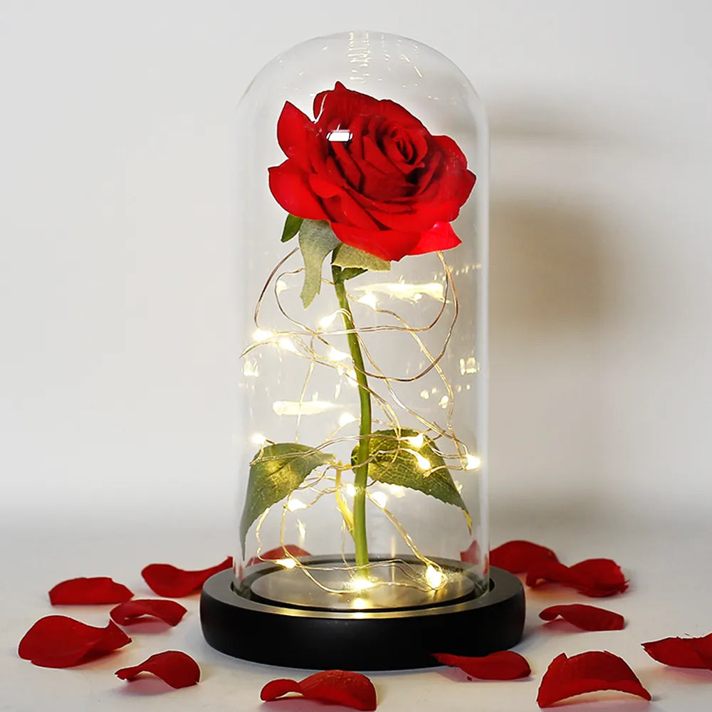 LED "Beauty And The Beast" Enchanted Rose In Glass - Best Romantic Gifts - IHavePaws