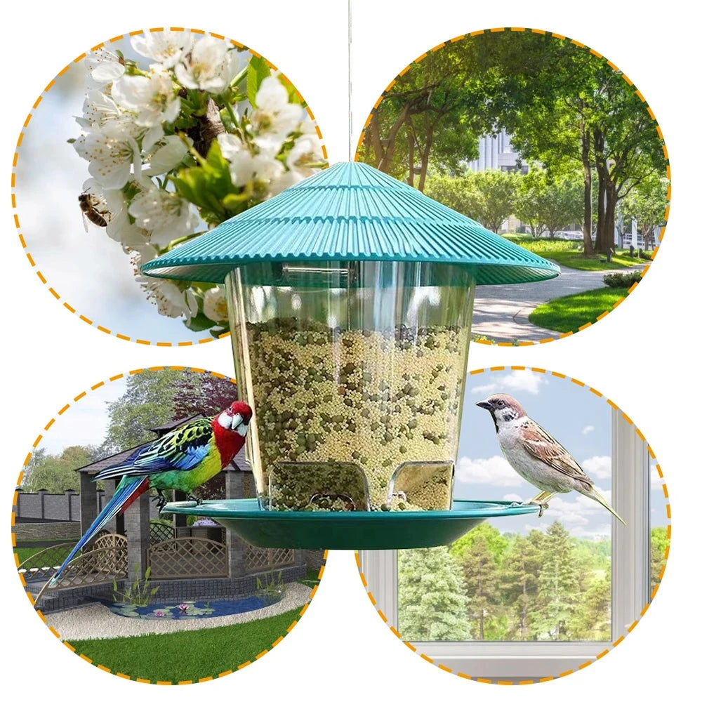 Exquisite Automatic Bird Feeder – A Haven for Feathered Friends - IHavePaws