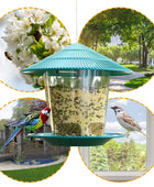 Exquisite Automatic Bird Feeder – A Haven for Feathered Friends - IHavePaws