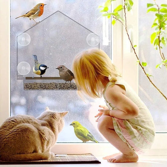 Acrylic Transparent Window Bird Feeder - IHavePaws