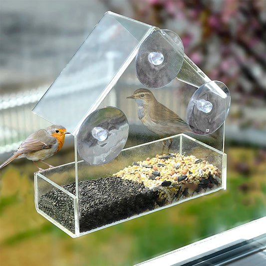 House Transparent Window Wild Bird Feeder - IHavePaws