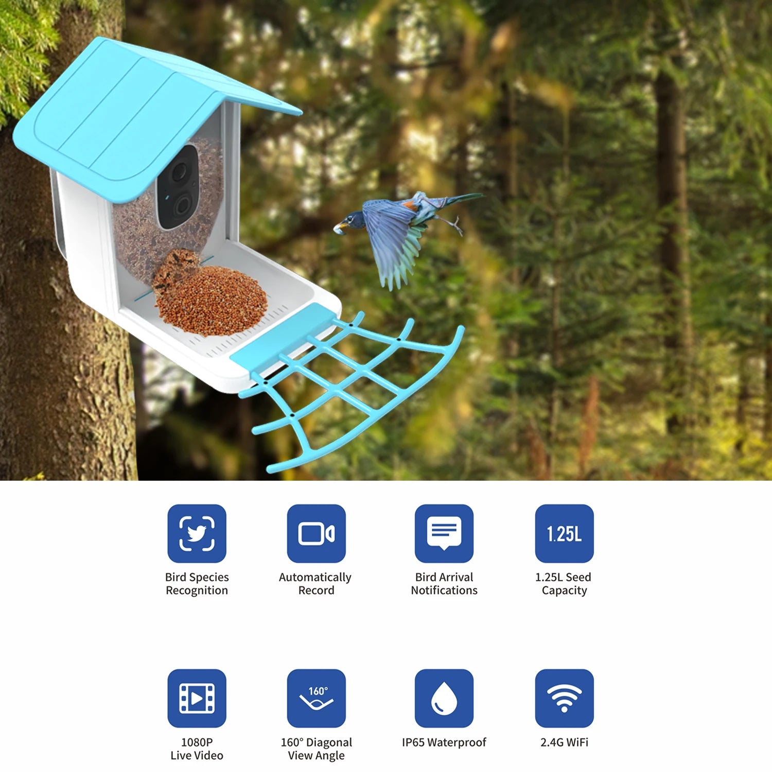 Solar charging Smart outdoor bird feeder with camera - IHavePaws