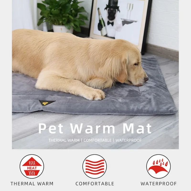 Self-Warming Pet Mat: The Ultimate Winter Comfort for Your Furry Friend - IHavePaws