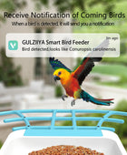 Solar charging Smart outdoor bird feeder with camera - IHavePaws
