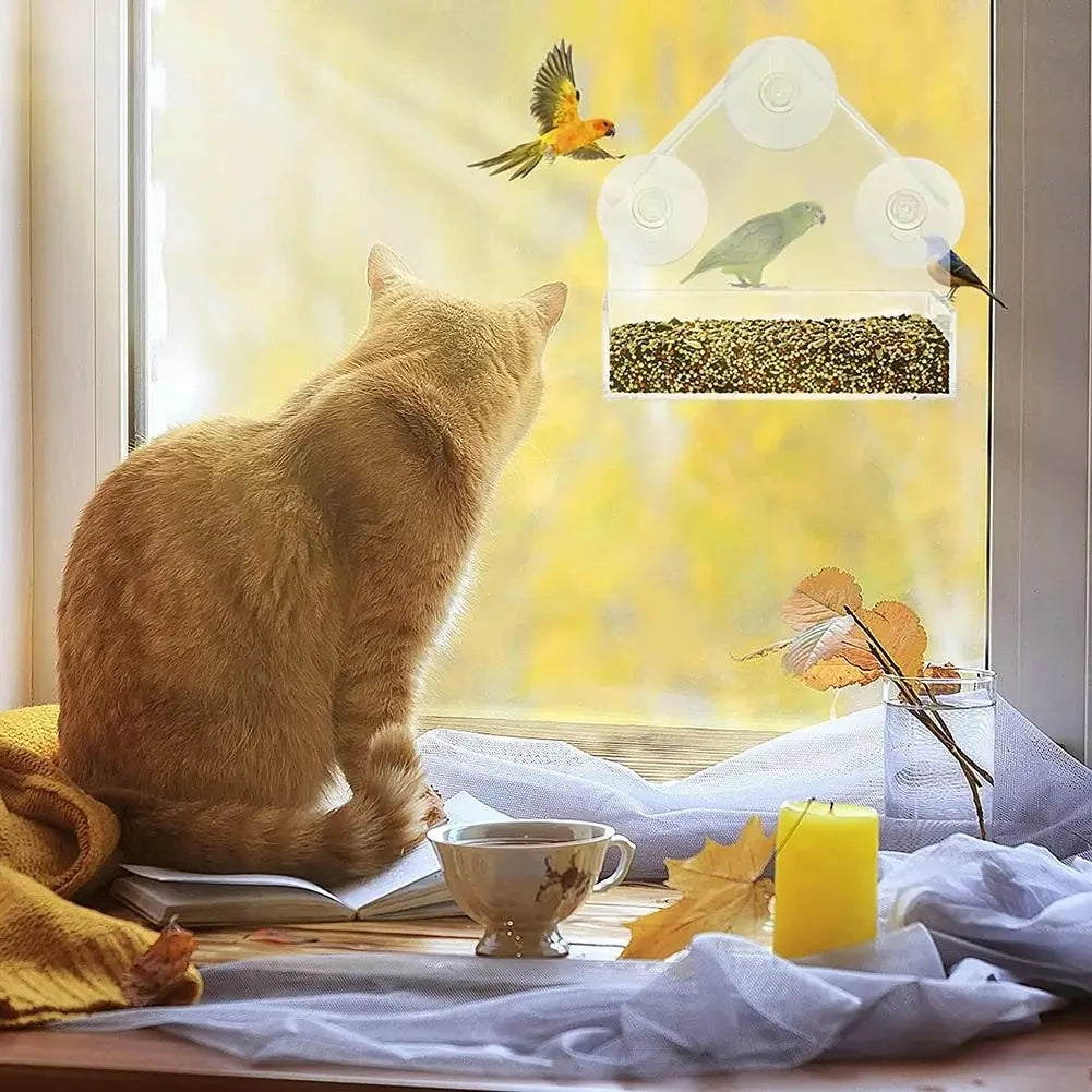 House Transparent Window Wild Bird Feeder - IHavePaws