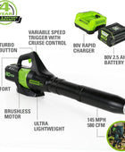 80V (145 MPH / 580 CFM / 75+ Compatible Tools) Cordless Brushless Axial Leaf Blower, 2.5Ah Battery and Charger Included - IHavePaws
