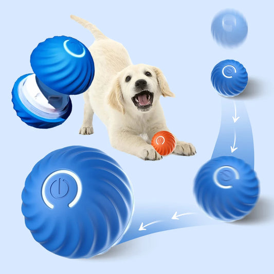 Smart Automatic Bouncing Dog Ball Toy - IHavePaws