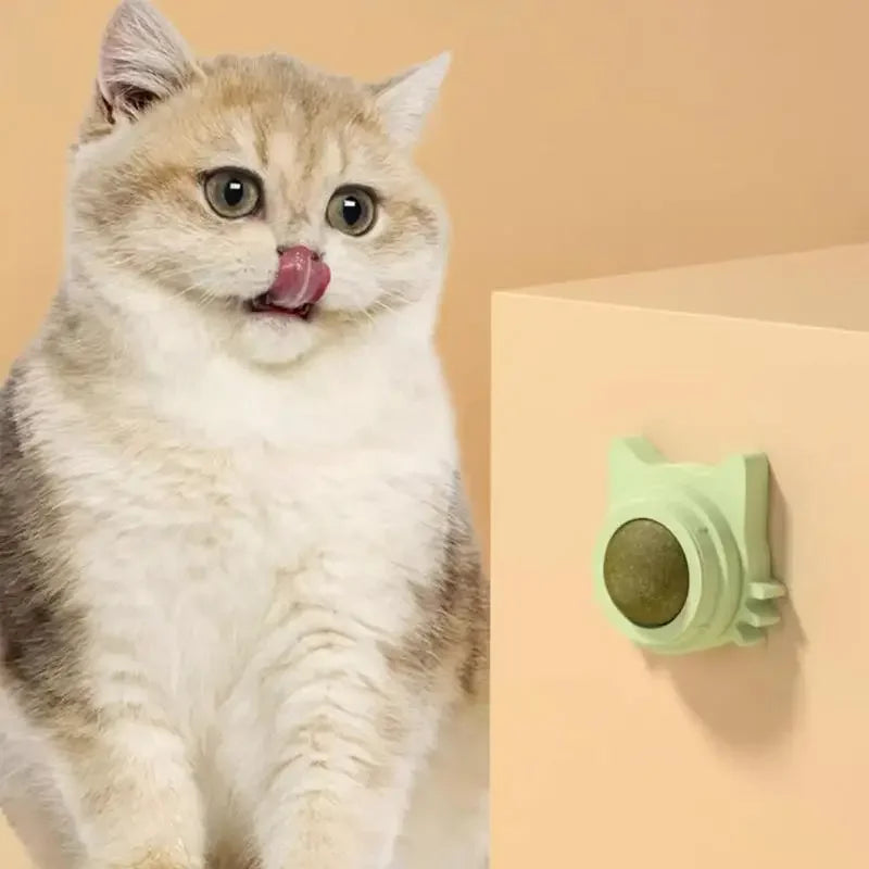 Catnip Balls Funny Lickable Cat Snack Catnip - IHavePaws