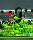 Multifunctional Fish Aquarium High Clear Fish Breeding Isolation Box C / 7.9x11x7cm - IHavePaws