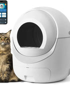 Self Cleaning Cat Bedpans Automatic Litter Box Self Cleaning - IHavePaws