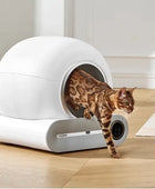 Litter-Robot - Automatic Smart Cat Litter Box, Self Cleaning With App Control Pro Version - IHavePaws