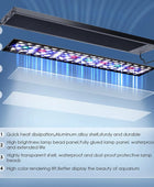 60-105cm WRGB LEDs Aquarium Lighting with Timer - IHavePaws