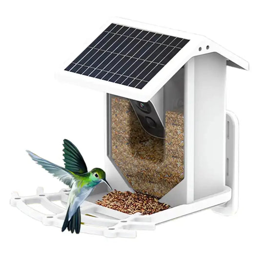 Outdoor Solar Smart Bird Feeder WIFI APP Wireless Night Vision Bird Camera with Solar Panel - IHavePaws