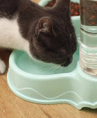 Cat Pet Automatic Feeder Drinking Bowl Large Capacity Dog 3.8L Combination Grain Storage Bucket Supplier - IHavePaws