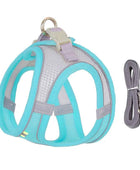 Reflective Harmony Set: Adjustable Harness & Leash for Small Dogs Blue Green / XXS 1-2 kg - IHavePaws