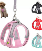 Reflective Harmony Set: Adjustable Harness & Leash for Small Dogs - IHavePaws