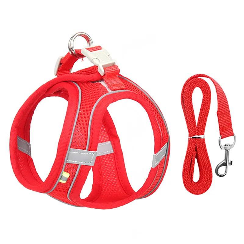 Reflective Harmony Set: Adjustable Harness & Leash for Small Dogs Red / XXS 1-2 kg - IHavePaws