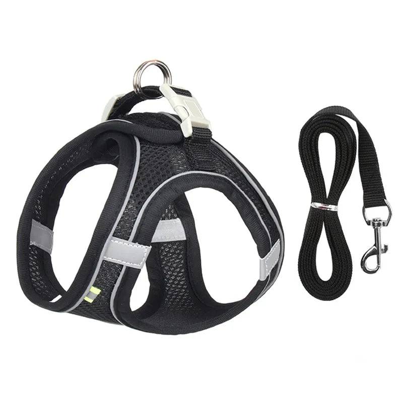 Reflective Harmony Set: Adjustable Harness & Leash for Small Dogs Black / XXS 1-2 kg - IHavePaws