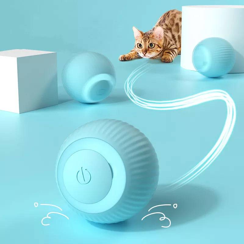Electric smart cat ball toy – automatic rolling and interactive for training and Indoor playtime Smart Ball Blue - IHavePaws
