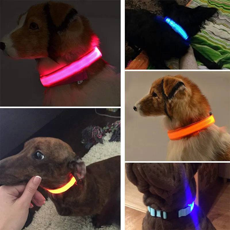 GlowGuard LED Dog Collar: Keep Your Pet Safe and Stylish in the Dark - IHavePaws