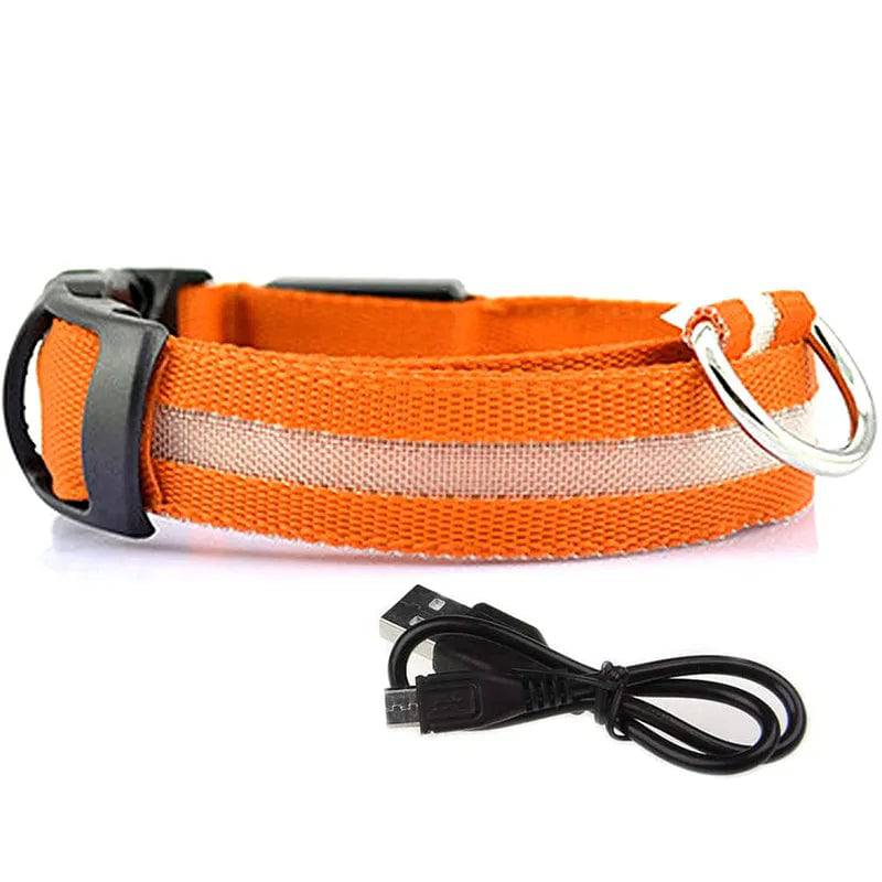 GlowGuard LED Dog Collar: Keep Your Pet Safe and Stylish in the Dark Orange usb charging / XS neck 28-40cm - IHavePaws