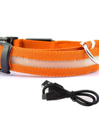 GlowGuard LED Dog Collar: Keep Your Pet Safe and Stylish in the Dark Orange usb charging / XS neck 28-40cm - IHavePaws