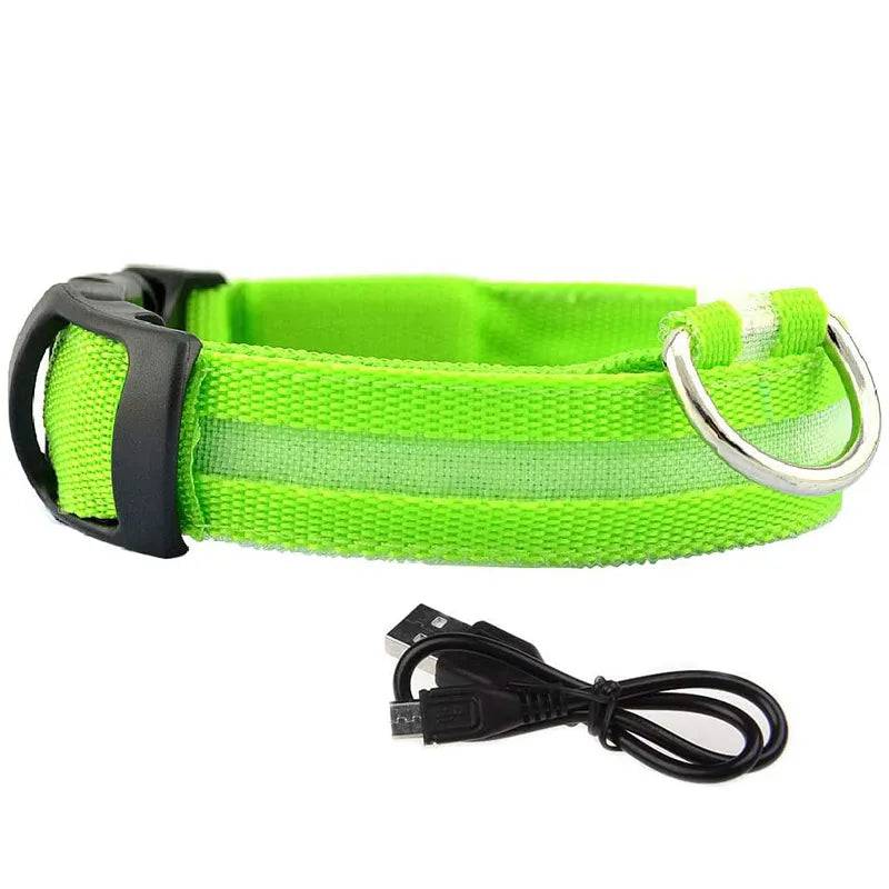 GlowGuard LED Dog Collar: Keep Your Pet Safe and Stylish in the Dark Greeb usb charging / XS neck 28-40cm - IHavePaws