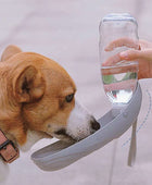 HydroPaws Portable Pet Hydration Companion - IHavePaws