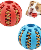 Interactive elasticity dog ball toys for small dogs - IHavePaws