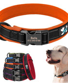 Personalized reflective adjustable dog collar with padded comfort and free engraved ID tag - ihavepaws.com