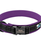 Personalized reflective adjustable dog collar with padded comfort and free engraved ID tag Purple / S - ihavepaws.com
