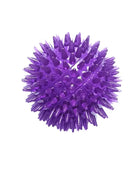 Pet Dog Toys Cat Puppy Sounding Toy Polka Squeaky Tooth Cleaning Ball Purple / S-6.5CM - ihavepaws.com