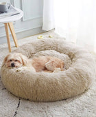 PlushPaws Paradise: Luxury Cat Bed Haven 40x40cm / Brown - IHavePaws