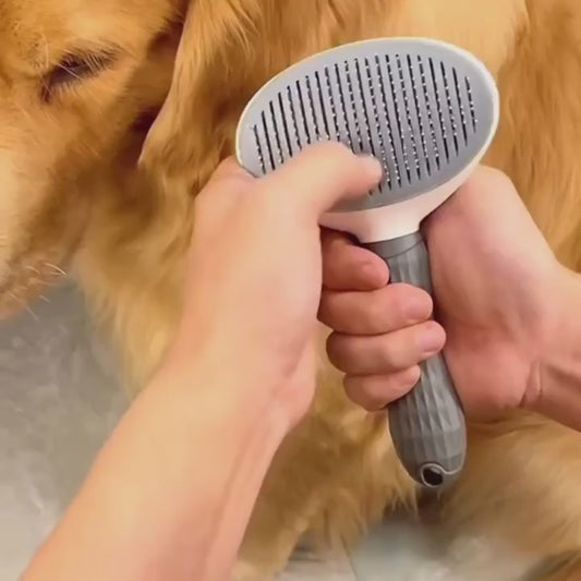 Selvrensende kæledyrshårfjernerbørste: plejeværktøj til hunde og katte - afmattende kam