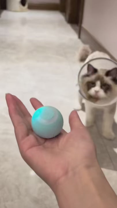 Elektrisk smart katteboldlegetøj – automatisk rullende og interaktiv til træning og indendørs legetid 