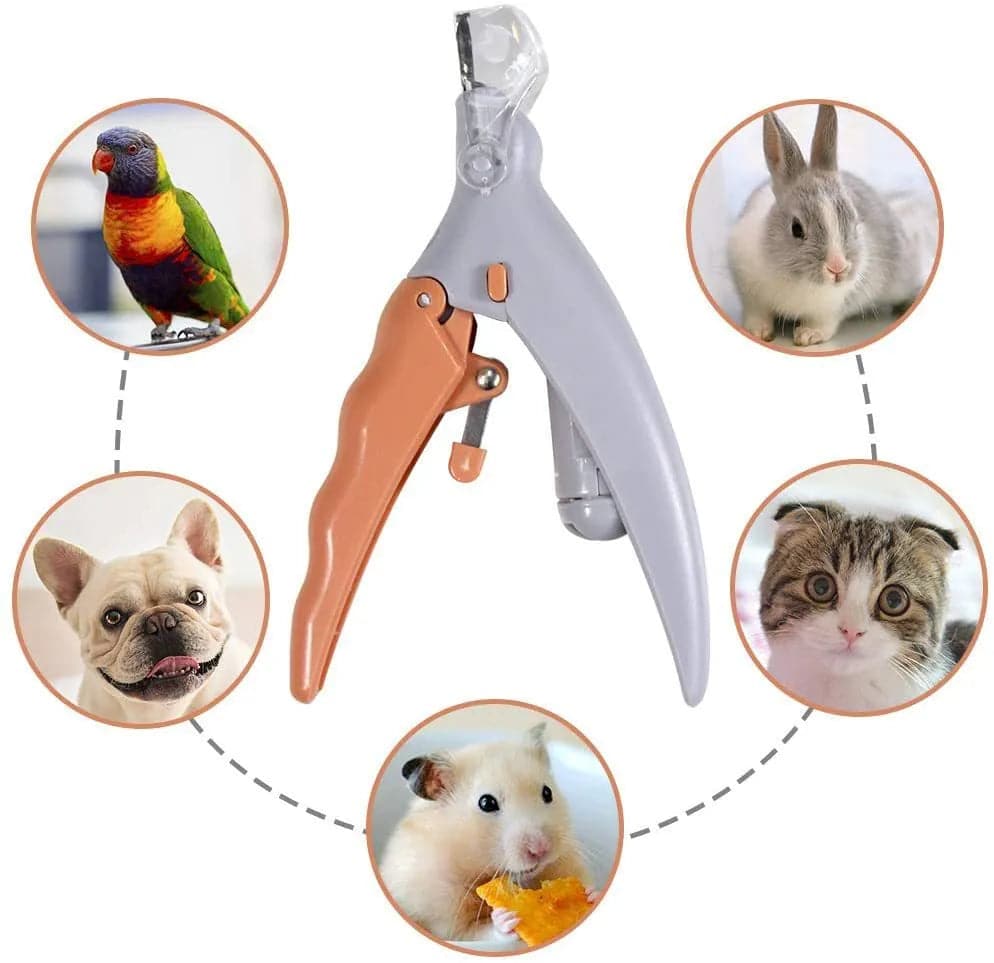 Professional Pet Nail Clipper Scissors With LED Light Cat Dog Nail Clippers - IHavePaws