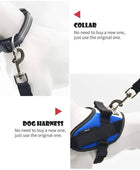 Reliable safety line with a security mechanism for dogs and cats - IHavePaws