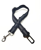 Reliable safety line with a security mechanism for dogs and cats StretchableBlack - IHavePaws
