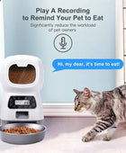 Intelligent Remote Control Pet Feeder for Healthy, Hassle-Free Meals! - IHavePaws