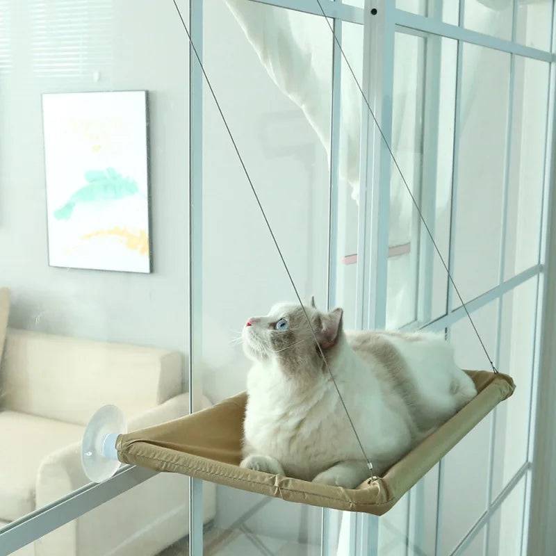Elite Window Hammock for Your Cat - IHavePaws
