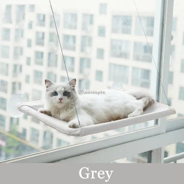 Elite Window Hammock for Your Cat Grey - IHavePaws