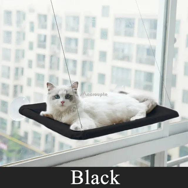 Elite Window Hammock for Your Cat Black - IHavePaws