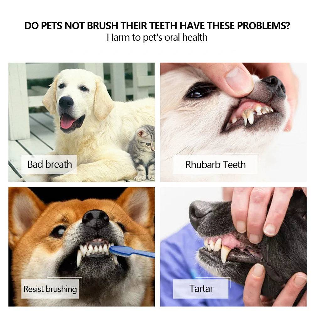 Three Sided Dog Toothbrush Three-Head Multi-angle - IHavePaws