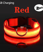 USB Charging LED Dog Collar Dog Safety Night Light Flashing Necklace Fluorescent Red USB Charging / XS NECK 28-38 CM - IHavePaws