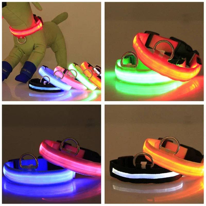 USB Charging LED Dog Collar Dog Safety Night Light Flashing Necklace Fluorescent - IHavePaws