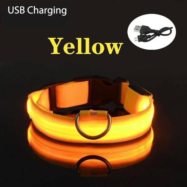 USB Charging LED Dog Collar Dog Safety Night Light Flashing Necklace Fluorescent Yellow USB Charging / XS NECK 28-38 CM - IHavePaws